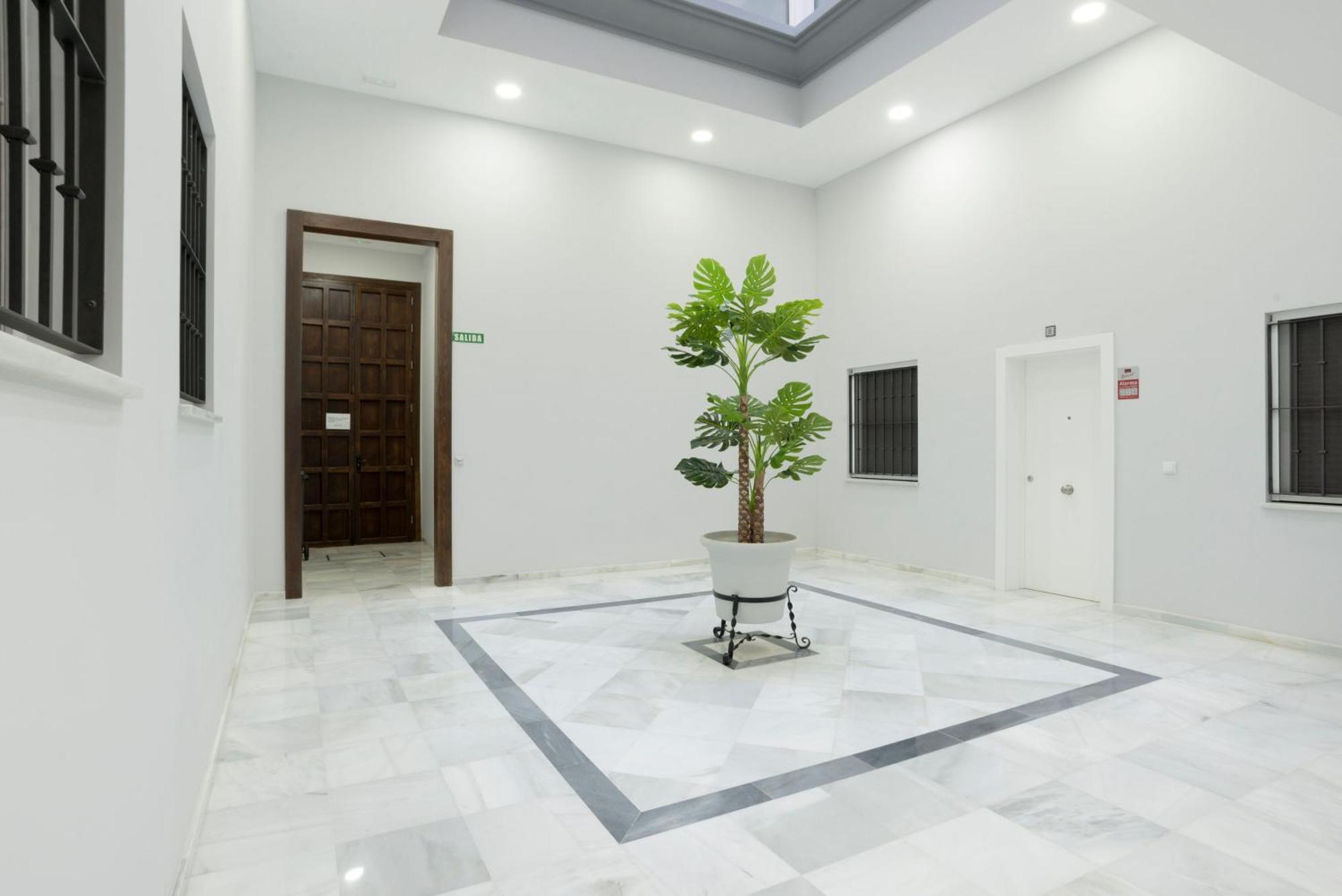 Apartamento Centro Deluxe Cadiz Exterior photo
